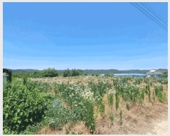  2025Ÿ��770 ��� ��õ�� �Ӱ��� ��õ�� 189-1      ����(��1)���