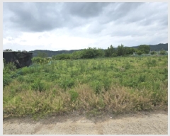  2025Ÿ��770 ��� ��õ�� �Ӱ��� ��õ�� 189-1      ����(��1)���