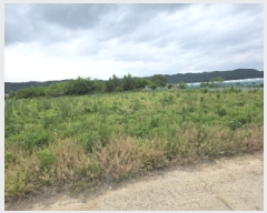  2025Ÿ��770 ��� ��õ�� �Ӱ��� ��õ�� 189-1      ����(��1)���