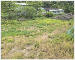  2025Ÿ��770 ��� ��õ�� �Ӱ��� ��õ�� 189-1      ����(��1)���