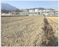  2025Ÿ5766  ĥ ϻ  513-8      ()