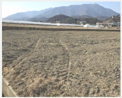  2025Ÿ5766  ĥ ϻ  513-8      ()