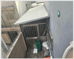  2025Ÿ��6301  ���ð��