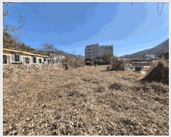  2025Ÿ7290  ĥ  ⼺ 1031-2      ()