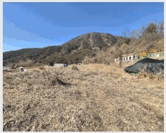  2025Ÿ7290  ĥ  ⼺ 1031-2      ()