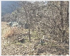  2025Ÿ7290  ĥ  ⼺ 1031-2      ()