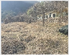  2025Ÿ7290  ĥ  ⼺ 1031-2      ()