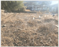  2025Ÿ��7354  �������