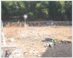  2025Ÿ��7354  �������