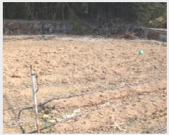  2025Ÿ��7354  �������