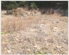  2025Ÿ��7354  �������