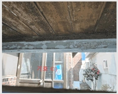  2025Ÿ��7462 �뱸 ���� ��ȣ�� 43-2       ����,â�����