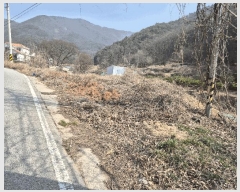  2025Ÿ��7495  �����