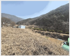  2025Ÿ��7495  �����