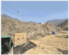  2025Ÿ��7495  �����