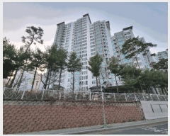  2025Ÿ7605 뱸  굿 400 Ǫ2 207 202003ȣ    Ʈ