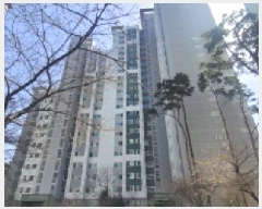  2025Ÿ7605 뱸  굿 400 Ǫ2 207 202003ȣ    Ʈ