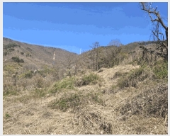  2025Ÿ��7649  �����