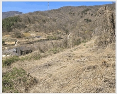  2025Ÿ��7649  �����