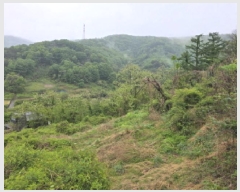  2025Ÿ��7649  �����