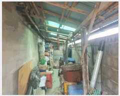  2025Ÿ��7705  �������