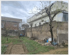  2025Ÿ��7705  �������