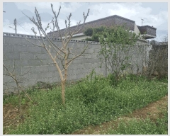  2025Ÿ��7705  �������