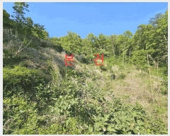  2025Ÿ7770   θ Ű 58-1      (Ӿ)