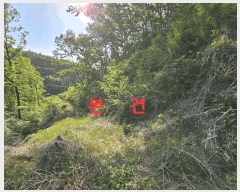  2025Ÿ7770   θ Ű 58-1      (Ӿ)