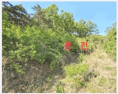  2025Ÿ7770   θ Ű 58-1      (Ӿ)