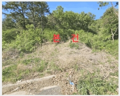  2025Ÿ7770   θ Ű 58-1      (Ӿ)