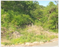  2025Ÿ7770   θ Ű 58-1      (Ӿ)