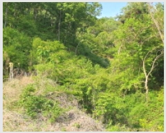  2025Ÿ7770   θ Ű 58-1      (Ӿ)