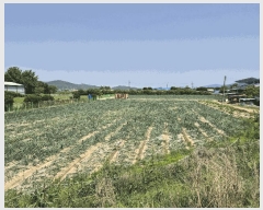  2025Ÿ��7968 ��� ��õ�� ��ȣ�� ������ 24-2      ����(������)���