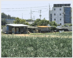  2025Ÿ��7968 ��� ��õ�� ��ȣ�� ������ 24-2      ����(������)���