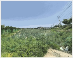  2025Ÿ��7968 ��� ��õ�� ��ȣ�� ������ 24-2      ����(������)���