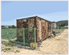  2025Ÿ��7968 ��� ��õ�� ��ȣ�� ������ 24-2      ����(������)���