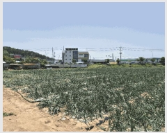  2025Ÿ��7968 ��� ��õ�� ��ȣ�� ������ 24-2      ����(������)���