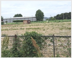  2025Ÿ��7968 ��� ��õ�� ��ȣ�� ������ 24-2      ����(������)���