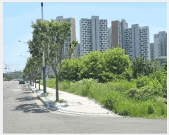  2025Ÿ��7979 ��� ��õ�� �ϻ굿 726       ����(������)���