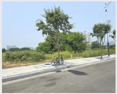  2025Ÿ��7979 ��� ��õ�� �ϻ굿 726       ����(������)���