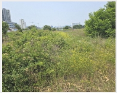  2025Ÿ��7979 ��� ��õ�� �ϻ굿 726       ����(������)���