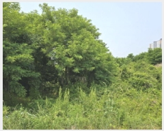  2025Ÿ��7979 ��� ��õ�� �ϻ굿 726       ����(������)���