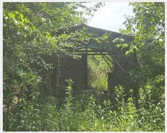  2025Ÿ��8065 ��� û���� ȭ���� �۱ݸ� 518      ����(��1)���