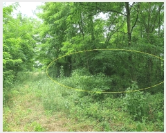  2025Ÿ��8275  ����