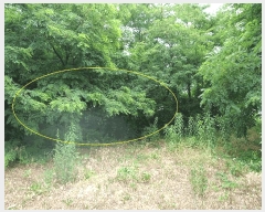  2025Ÿ��8275  ����