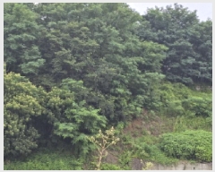  2025Ÿ��8275  ����