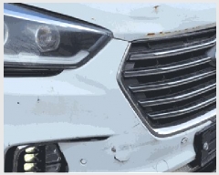  2025Ÿ��9841  �������