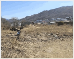  2025Ÿ��532  ����