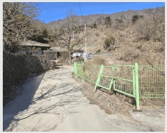  2025Ÿ��532  ����